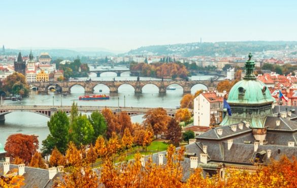 온라인 커뮤니티