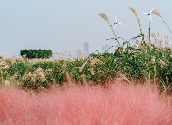 온라인 커뮤니티
