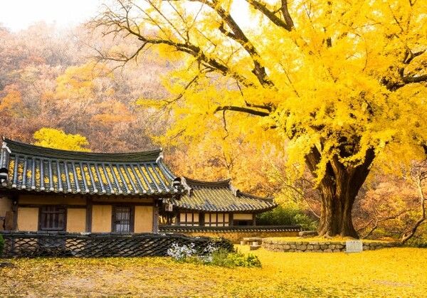 온라인 커뮤니티