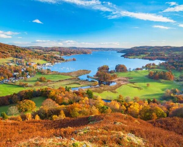 온라인 커뮤니티