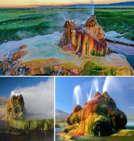 온라인 커뮤니티