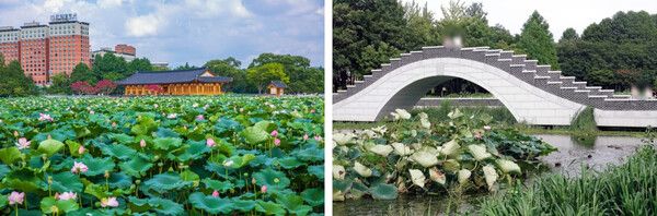 온라인 커뮤니티 (왼-덕진호와 연화정, 오-덕진호 산책다리)