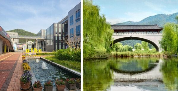 온라인 커뮤니티