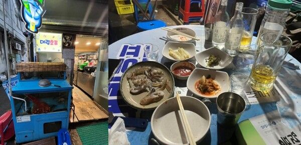 을지로 대림호프 / 네이버블로그 등촌댁(jini4215)