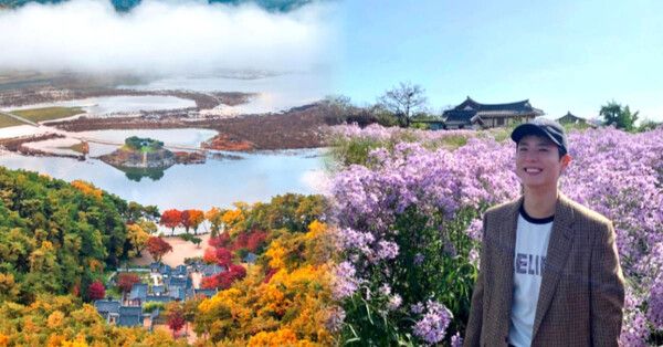 온라인 커뮤니티