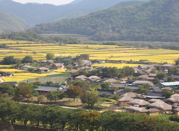 온라인 커뮤니티