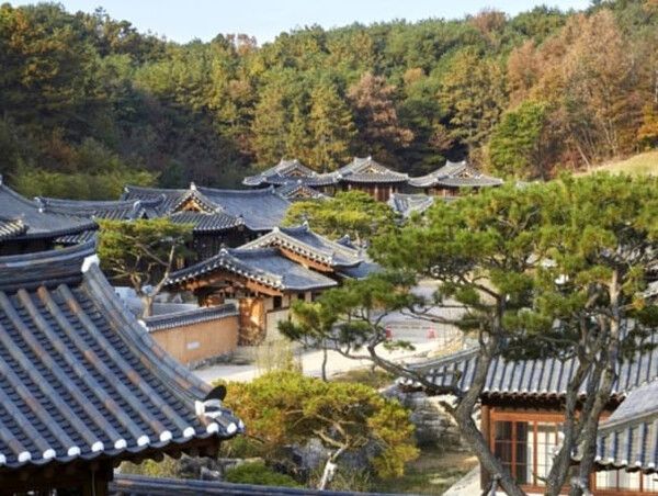 온라인 커뮤니티