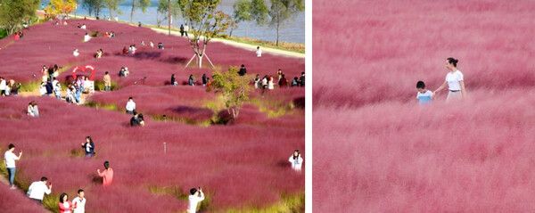 온라인 커뮤니티