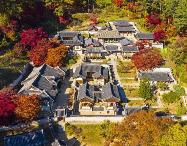 온라인 커뮤니티