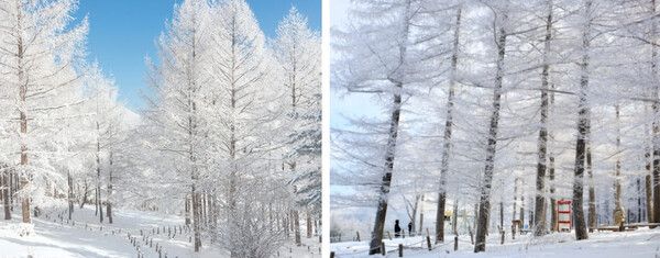 온라인 커뮤니티