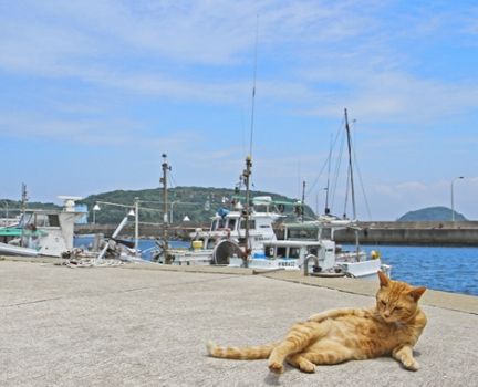 온라인 커뮤니티