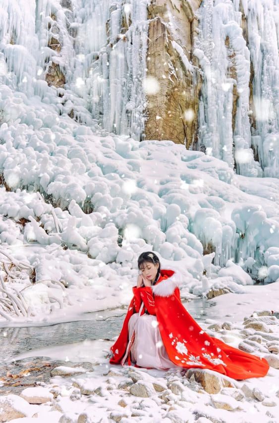 온라인 커뮤니티