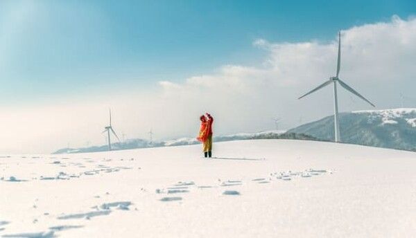 온라인 커뮤니티