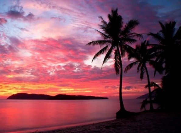 온라인 커뮤니티