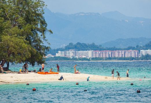 온라인 커뮤니티