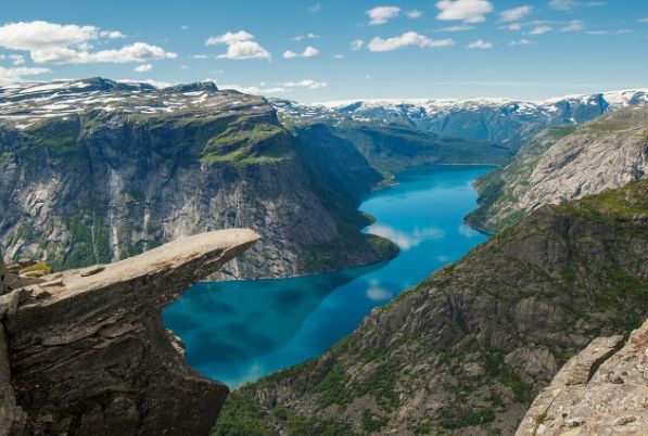 온라인 커뮤니티