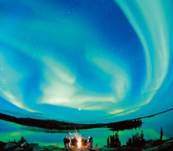 온라인 커뮤니티