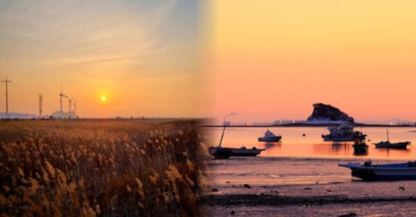 온라인 커뮤니티