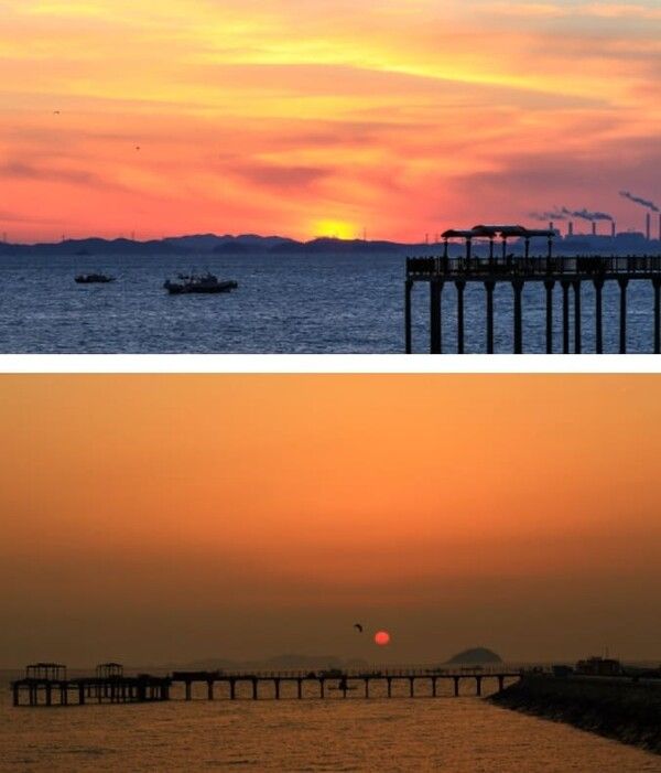 온라인 커뮤니티