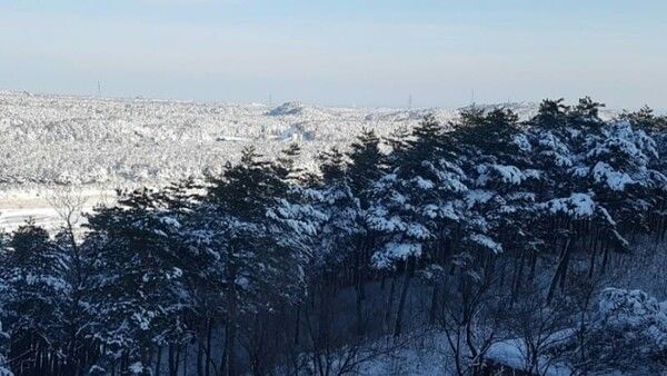 온라인 커뮤니티