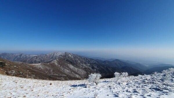 온라인 커뮤니티