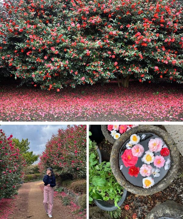 온라인커뮤니티,&nbsp;@yunhr0327