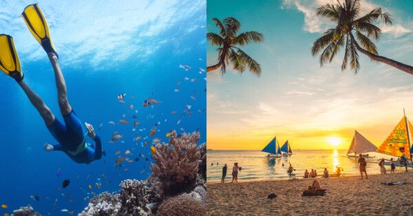 온라인 커뮤니티