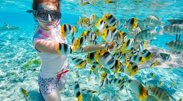 온라인 커뮤니티