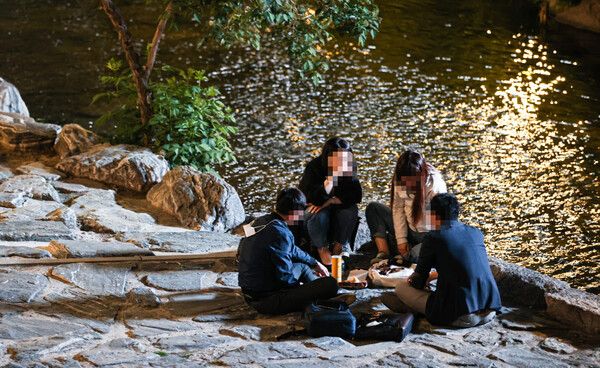 온라인 커뮤니티