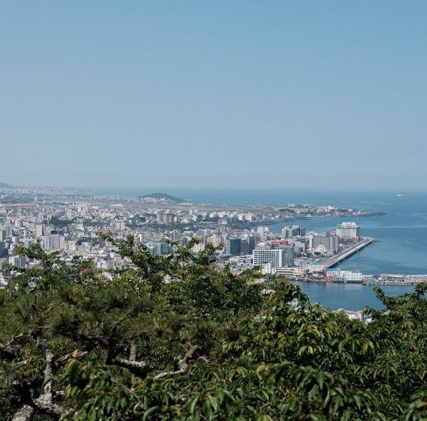 트립어드바이저