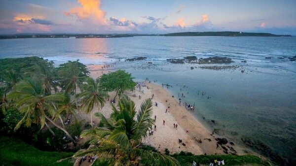 온라인 커뮤니티