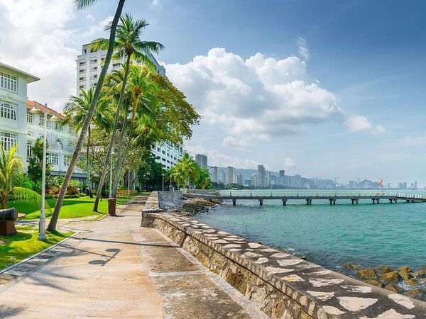 온라인 커뮤니티