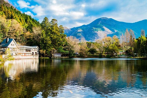 온라인 커뮤니티