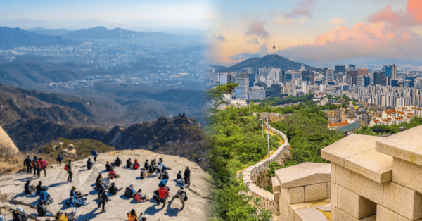 온라인 커뮤니티