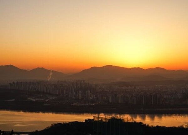 온라인 커뮤니티