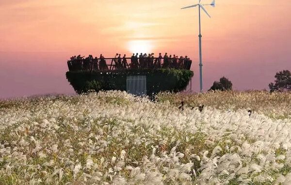 온라인 커뮤니티