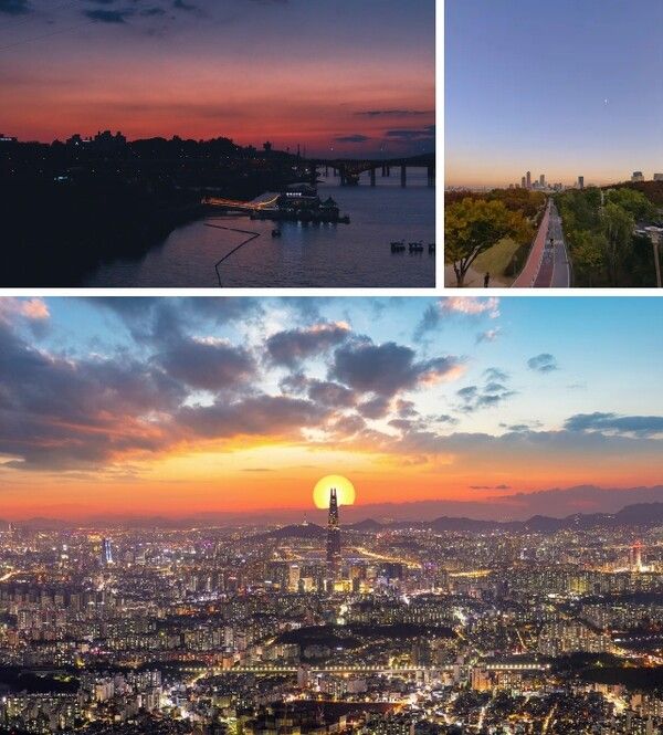 온라인 커뮤니티