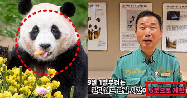 온라인 커뮤니티