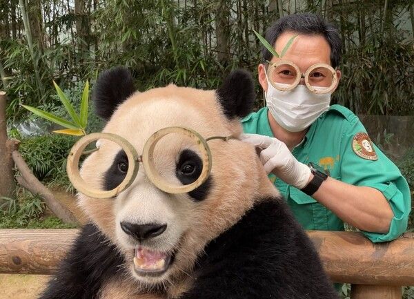 온라인 커뮤니티