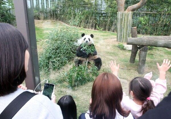 온라인 커뮤니티