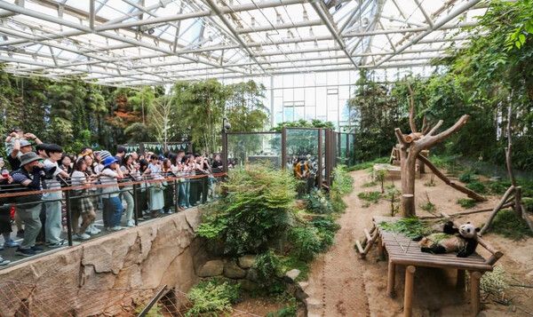 온라인 커뮤니티