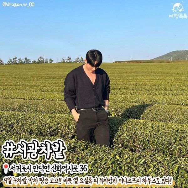 9월 제주 가볼만한 곳 /&nbsp;@dragon.w_00