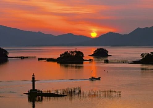 온라인 커뮤니티