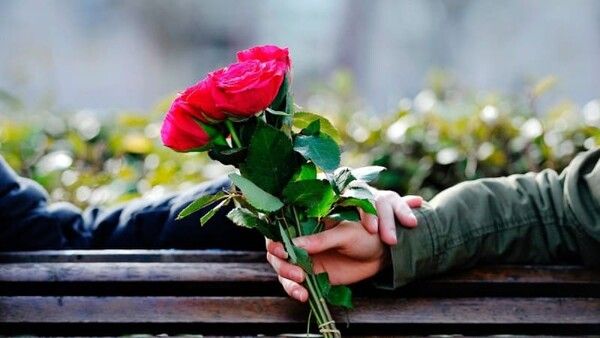 온라인 커뮤니티