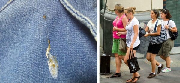 온라인 커뮤니티