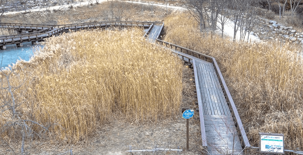 온라인 커뮤니티