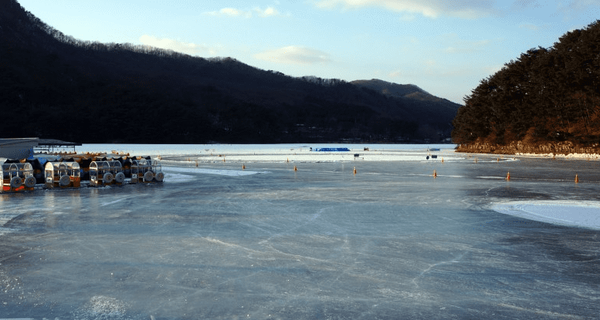 온라인 커뮤니티