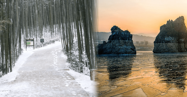 온라인 커뮤니티