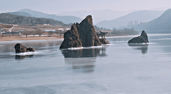 온라인 커뮤니티