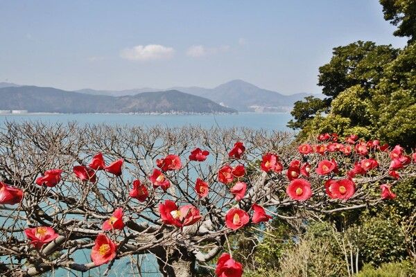 온라인 커뮤니티